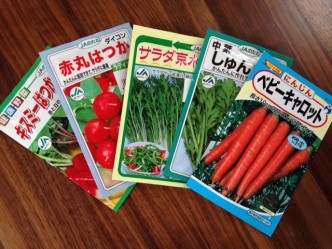 野菜種類